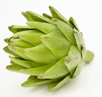 artichoke